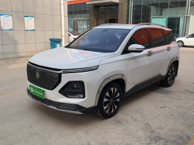 宝骏530 2021款 全球车周年纪念版 1.5T CVT豪华型 7座