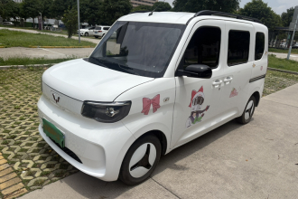 五菱汽车 五菱之光新能源 2025款 305km 进取型