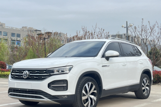 大众 探岳 2021款 330TSI 两驱3周年限量版