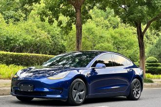 特斯拉 Model 3 2020款 标准续航后驱升级版
