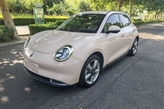 欧拉好猫 2021款 400km标准续航 维纳斯版 三元锂