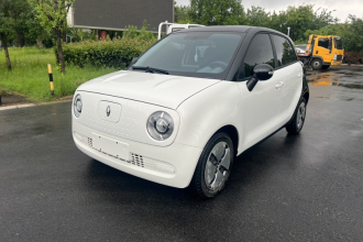 欧拉黑猫 2022款 301km 萌动型 磷酸铁锂