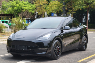特斯拉 Model Y 2021款 长续航全轮驱动版 3D7
