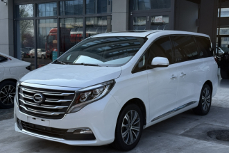 广汽传祺 传祺M8 2020款 390T 尊贵版