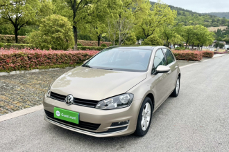 大众 高尔夫 2016款 1.6L 自动舒适型