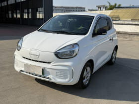 荣威 科莱威CLEVER 2021款 302km卓越版