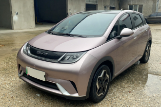 比亚迪 海豚 2021款 405km 时尚版