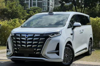 腾势D9 2026款 第二代 EV 两驱闪充尊贵型