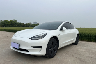 特斯拉 Model 3 2020款 标准续航后驱升级版