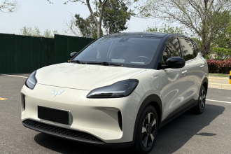 五菱汽车 五菱缤果PLUS 2024款 510km 五座版