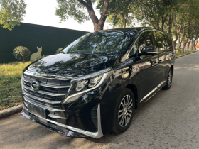 广汽传祺 传祺M8 2023款 领秀系列 390T 尊贵版