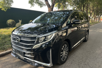 广汽传祺 传祺M8 2023款 领秀系列 390T 尊贵版