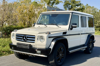 奔驰G级 2010款 G 500