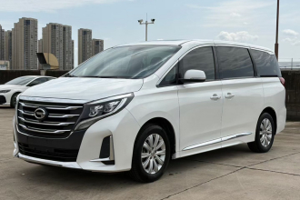 广汽传祺 传祺M8 2020款 领航款 390T 尊享版