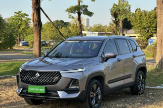 宝骏RS-5 2019款 1.5T CVT智能驾控豪华版 国VI
