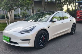 特斯拉 Model 3(进口) 2019款 Performance高性能全轮驱动版