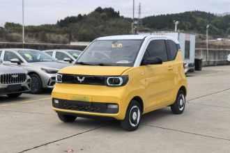 五菱汽车 宏光MINIEV 2021款 马卡龙时尚款 磷酸铁锂