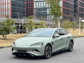 比亚迪 海豹 2023款 冠军版 550km 尊贵型