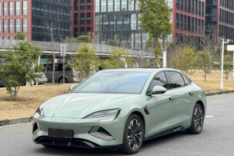 比亚迪 海豹 2023款 冠军版 550km 尊贵型