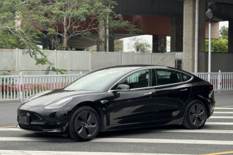 特斯拉 Model 3 2020款 改款 标准续航后驱升级版