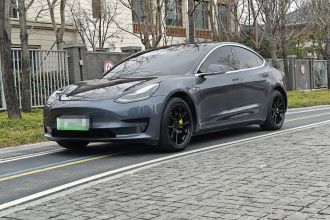 特斯拉 Model 3 2020款 标准续航后驱升级版