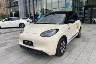 五菱汽车 五菱缤果 2025款 333km 灵犀尊享款