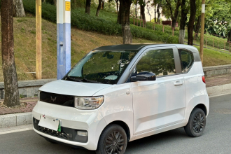 五菱汽车 宏光MINIEV 2022款 自在款 磷酸铁锂