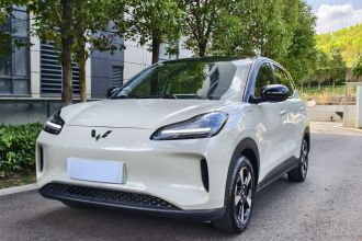五菱汽车 五菱缤果PLUS 2024款 401km 五座版