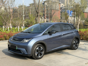 比亚迪 海豚 2024款 荣耀版 420km 自由版