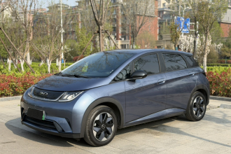比亚迪 海豚 2024款 荣耀版 420km 自由版