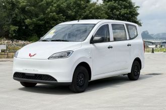 五菱汽车 五菱宏光新能源 2024款 纯电版 300KM 标准型