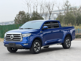 长城 炮 2020款 2.0T自动柴油两驱舒适版GW4D20M