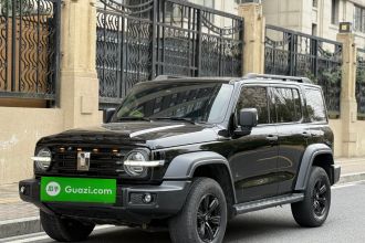 坦克300 2021款 越野版 2.0T 征服者