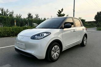 五菱汽车 五菱缤果 2023款 203km 轻享款