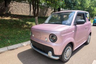 睿蓝汽车 睿蓝蓝气球 2025款 活力版