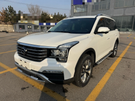 广汽传祺 传祺GS8 2017款 320T 两驱豪华智联版（七座）