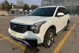 广汽传祺 传祺GS8 2017款 320T 两驱豪华智联版（七座）