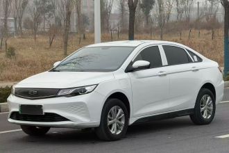 吉利汽车 帝豪新能源 2022款 EV Pro 网约版 磷酸铁锂