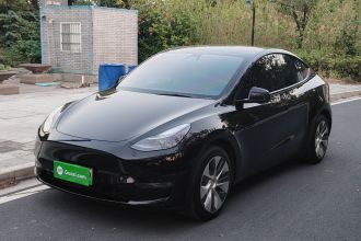 特斯拉 Model Y 2021款 标准续航后驱版