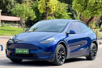 特斯拉 Model Y 2021款 长续航全轮驱动版