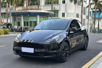 特斯拉 Model Y 2021款 长续航全轮驱动版