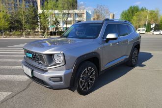 哈弗大狗 PLUS 新能源 2023款 DHT-PHEV 105km 潮电版Plus