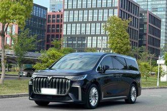 岚图汽车 岚图梦想家 2022款 低碳版 想+智驾包