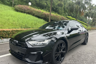 奥迪A7L 2024款 45 TFSI quattro S-line 黑武士版