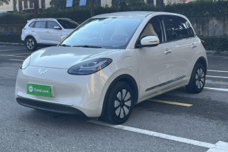 五菱汽车 五菱缤果 2023款 333km 悦享+款