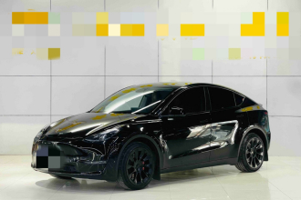 特斯拉 Model Y 2023款 长续航全轮驱动版