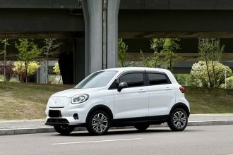 零跑汽车 零跑T03 2024款 310舒享版