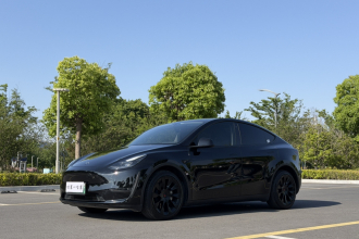 特斯拉 Model Y 2021款 长续航全轮驱动版 3D7