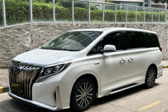 广汽传祺 传祺M8 2021款 大师系列 390T 尊贵版
