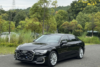 奥迪A6L 2023款 改款 45 TFSI 臻选动感型